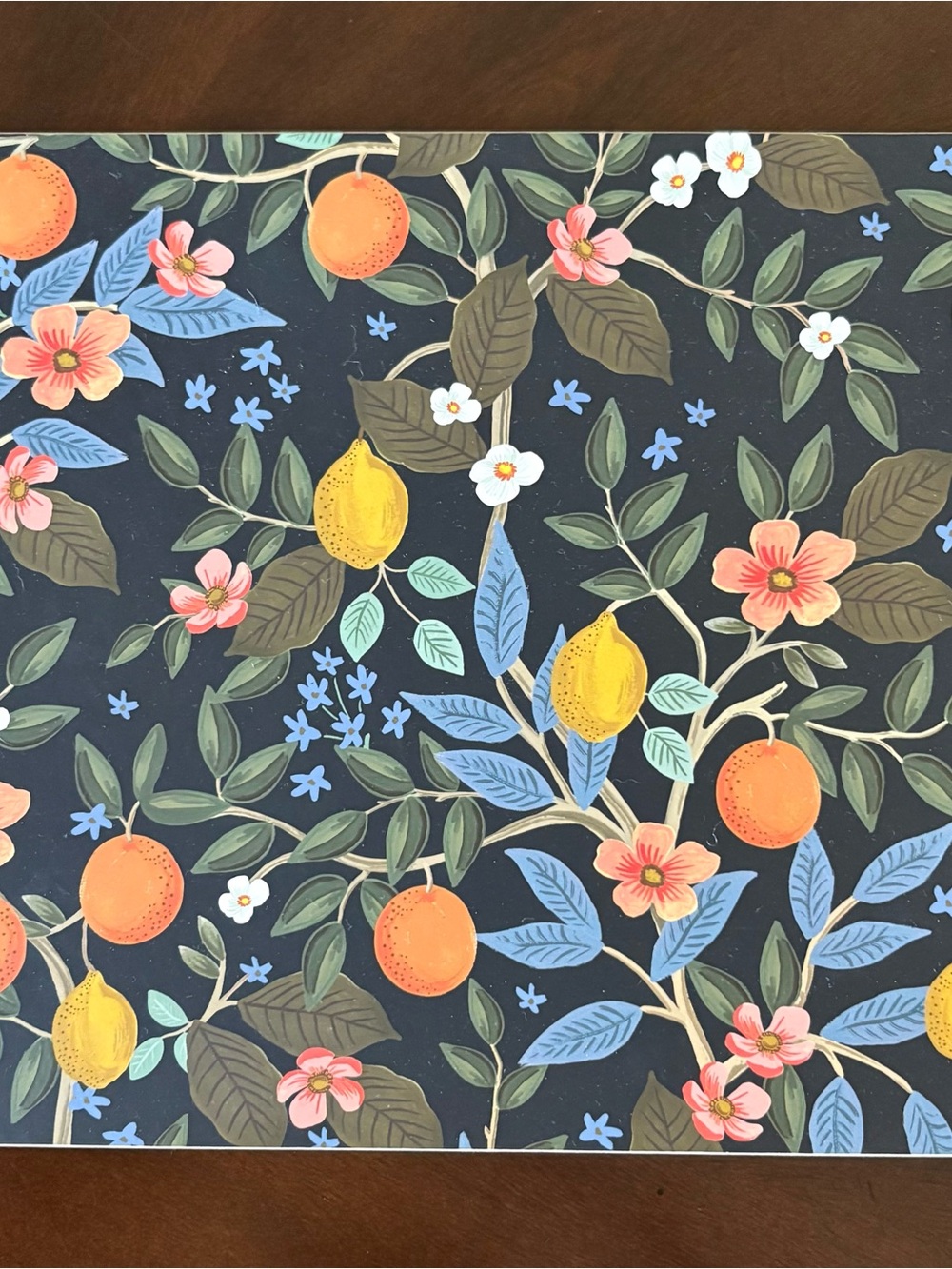 Rifle Paper Co. Citrus Grove Cork Placemats - Lot of 7 | Never Used - Picture 2 of 6